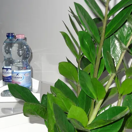 Studio Poz Appartement