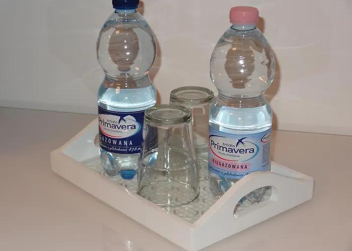 Studio Poz Lägenhet Poznań