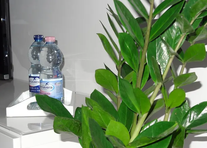 Studio Poz Apartment